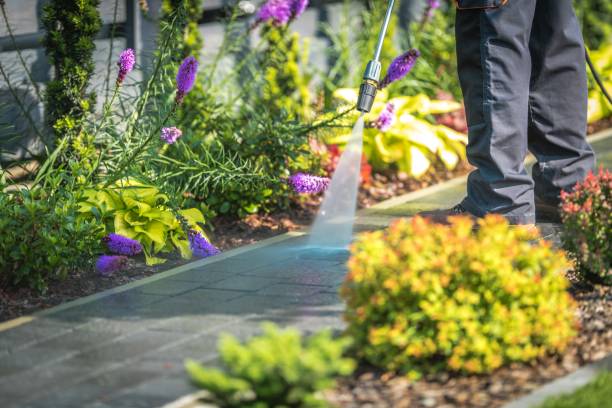  Western Springs, IL Pressure Washing Pros