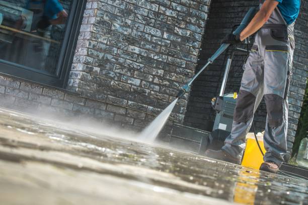 Best Driveway Pressure Washing  in Western Springs, IL