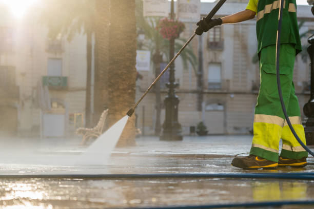 Best Sidewalk and Walkway Cleaning  in Western Springs, IL